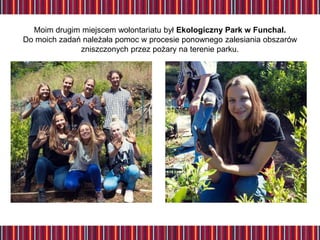 Moim drugim miejscem wolontariatu był Ekologiczny Park w Funchal.
Do moich zadań należała pomoc w procesie ponownego zalesiania obszarów
zniszczonych przez pożary na terenie parku.
 
