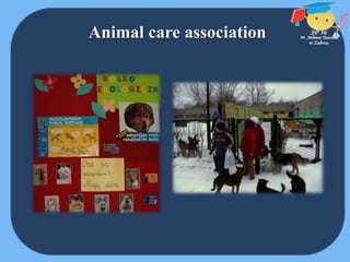 Animal care association
 