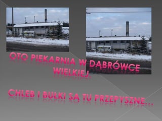 Oto piekarnia w DąbrówceWielkiej. Chleb i bułki są tu przepyszne…