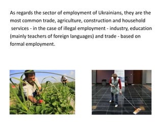 As regards the sector of employment of Ukrainians, they are the
most common trade, agriculture, construction and household
services - in the case of illegal employment - industry, education
(mainly teachers of foreign languages​​) and trade - based on
formal employment.
 