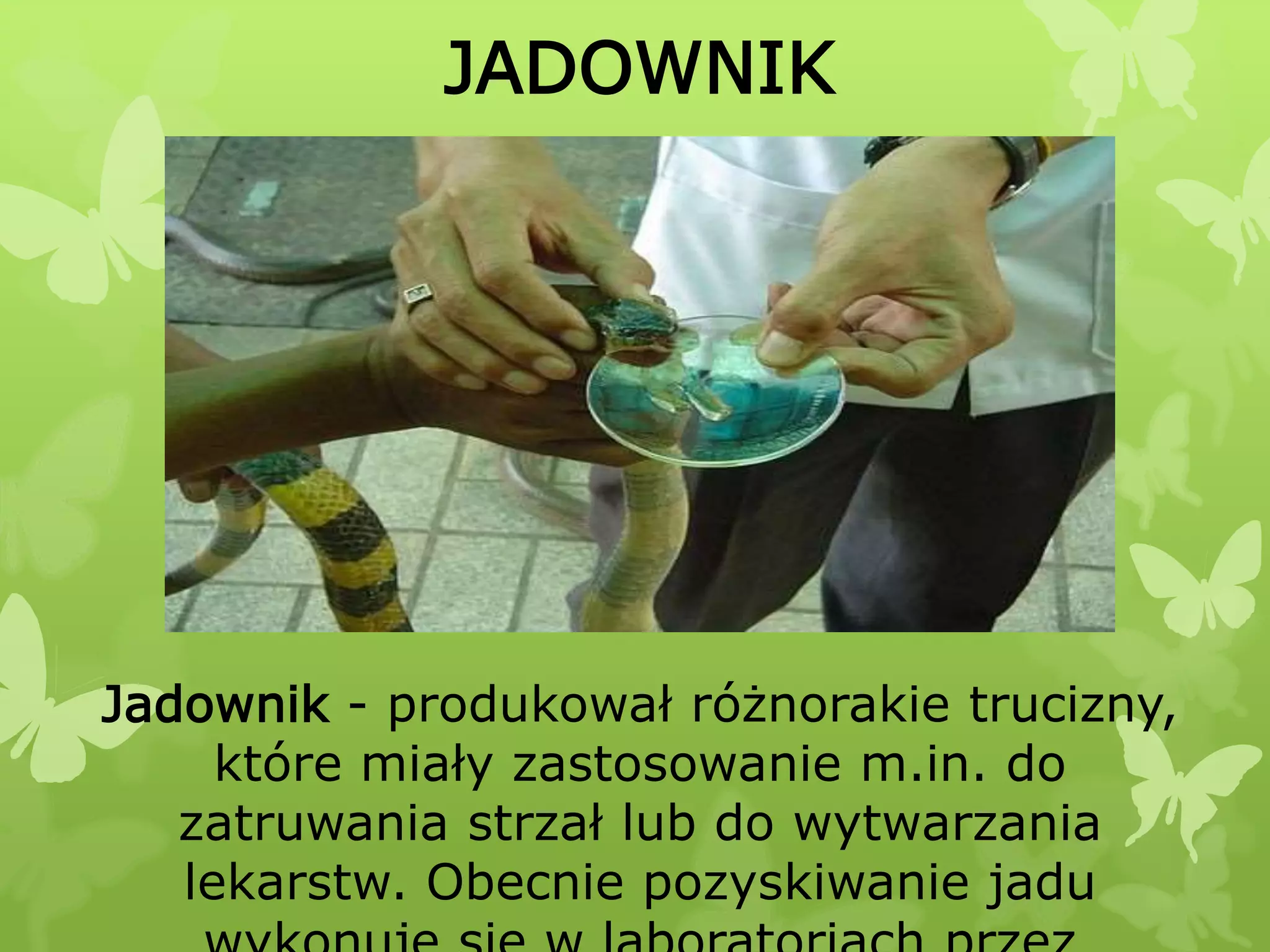 prezentacja-zawody-przesz-o-ci-pptx