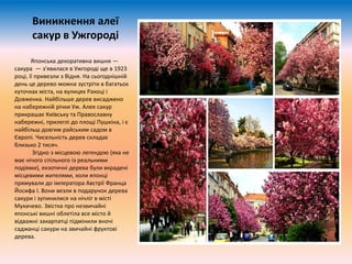 Коли в європі день святого миколая