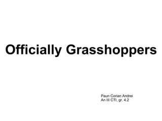 Officially Grasshoppers Paun Corian Andrei An III CTI, gr. 4.2 