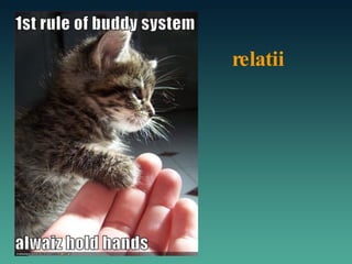 relatii 
