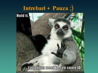 Intrebari + Pauza ;) 