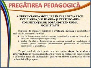 Prezentare