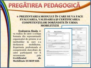 Prezentare