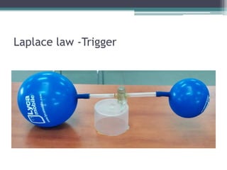 Laplace law -Trigger
 