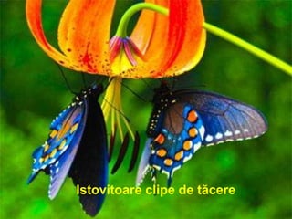 Istovitoare clipe de tăcere
 