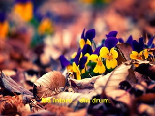 Mă întorc... din drum.
 