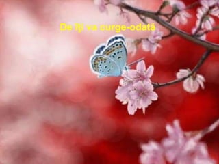 De îţi va curge-odată
 