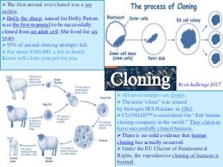 All navel oranges are clones.
The term “clone” was coined
by biologist JBS Haldane in 1963.
CLONAID™ is considered the “first human
cloning company in the world.” They claim to
have successfully cloned humans.
There is no solid evidence that human
cloning has actually occurred.
Under the EU Charter of Fundamental
Rights, the reproductive cloning of humans is
banned.
The first animal ever cloned was a sea
urchin.
Dolly the sheep, named for Dolly Parton,
was the first mammal to be successfully
cloned from an adult cell. She lived for six
years.
95% of animal cloning attempts fail.
For about $100,000, a lab in South
Korea will clone your pet for you.
#scichallenge2017
 