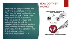 Medicells are designed to find and
destroy a specific type of virus.
They use the same mechanisms as
neutrophils ( a type of white blood
cell) : once the virus is located,
the cells extend their traps and
catch it. Inside the cell, the
specialized organelles surround the
virus, covering it with an isolating
membrane. It is then transfered into
the circulatory system
and eliminated through urine.
HOW DO THEY
WORK?
 
