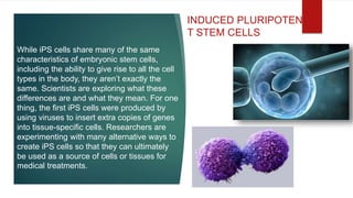 While iPS cells share many of the same
characteristics of embryonic stem cells,
including the ability to give rise to all the cell
types in the body, they aren’t exactly the
same. Scientists are exploring what these
differences are and what they mean. For one
thing, the first iPS cells were produced by
using viruses to insert extra copies of genes
into tissue-specific cells. Researchers are
experimenting with many alternative ways to
create iPS cells so that they can ultimately
be used as a source of cells or tissues for
medical treatments.
INDUCED PLURIPOTEN
T STEM CELLS
 