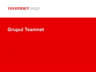 Grupul Teamnet
 
