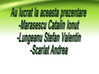 Prezentare catalin
