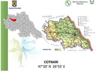 COTNARI
47°20’ N 26°55’ E
 