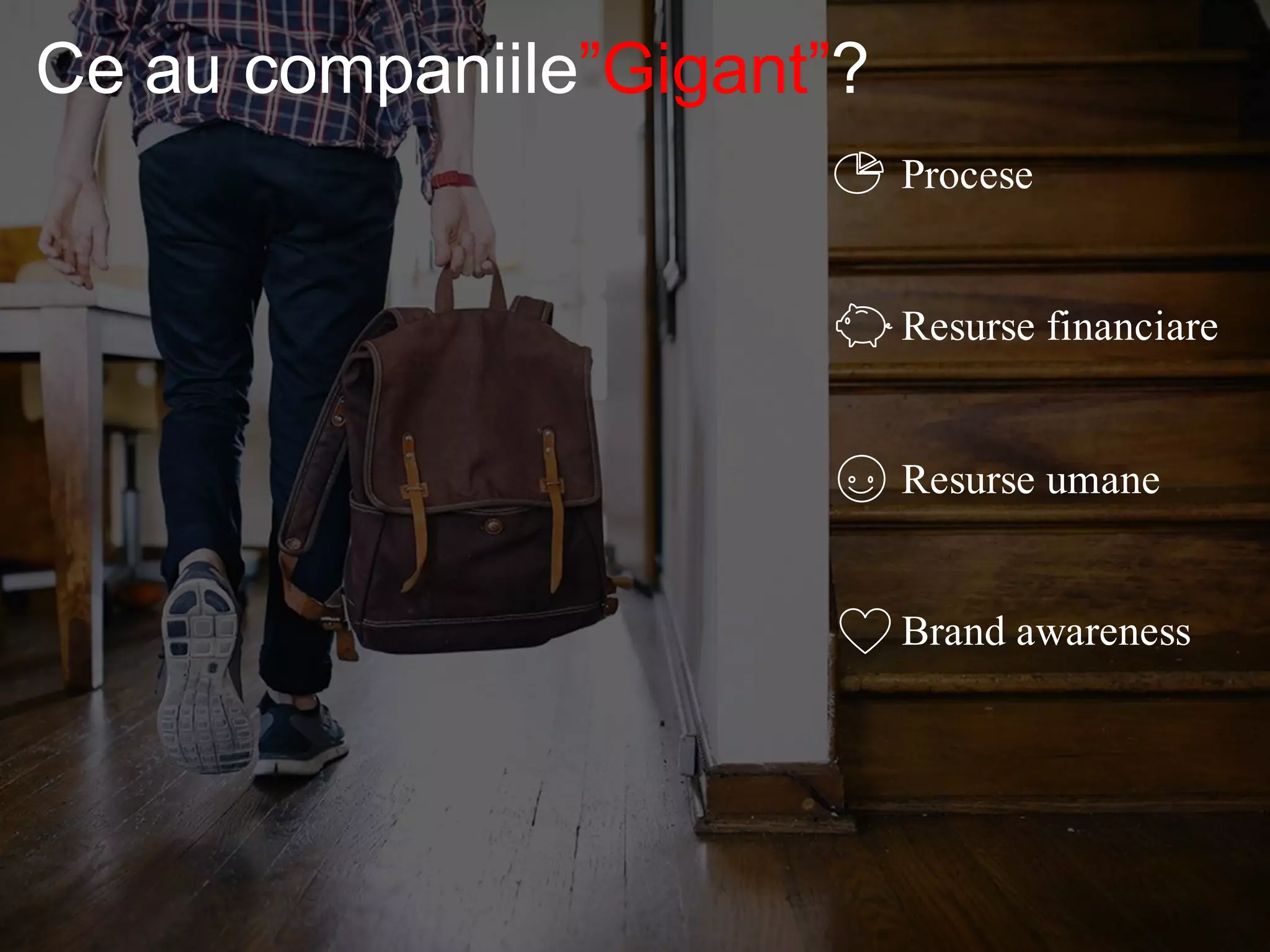 Procese
Resurse financiare
Resurse umane
Brand awareness
Ce au companiile”Gigant”?
