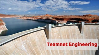Teamnet Engineering
 