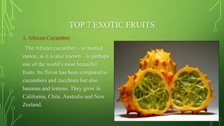 TOP 7 EXOTIC FRUITS
1. African Cucumber
The African cucumber – or horned
melon, as it is also known – is perhaps
one of the world’s most beautiful
fruits. Its flavor has been compared to
cucumbers and zucchinis but also
bananas and lemons. They grow in
California, Chile, Australia and New
Zeeland.
 