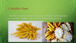 2. Buddha's Hand
This fruit is actually part of the citron family. Its "fingers" can be segmented
for consumption. Buddha's hand is native to Northeast India and China.
 