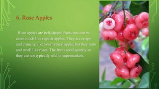 6. Rose Apples
Rose apples are bell-shaped fruits that can be
eaten much like regular apples. They are crispy
and crunchy, like your typical apple, but they taste
and smell like roses. The fruits spoil quickly so
they are not typically sold in supermarkets.
 