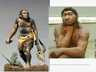 Homo Erectus
 Omul de Java amestecul a doi
  indivizi diveriţi : a unui om şi a unui
  ghibon.
 Omul de Peking a dispăru...