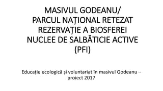 MASIVUL GODEANU/
PARCUL NAȚIONAL RETEZAT
REZERVAȚIE A BIOSFEREI
NUCLEE DE SALBĂTICIE ACTIVE
(PFI)
Educație ecologică și voluntariat în masivul Godeanu –
proiect 2017
 