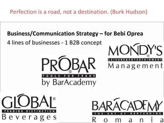 Perfection is a road, not a destination. (Burk Hudson)


Business/Communication Strategy – for Bebi Oprea
4 lines of businesses ‐ 1 B2B concept
 