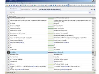 Prezentare István Lengyel MemoQ AFIT 2012