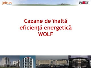 Cazane de înaltă
eficiență energetică
WOLF

 