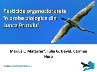 Marius L. Matache*, Iulia G. David, Carmen Hura Pesticide organoclorurate în probe biologice din Lunca Prutului   *e-mail:  [email_address] 