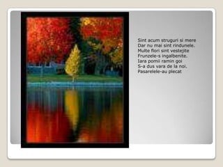 Sint acum struguri si mereDar nu mai sintrindunele.Multe flori sint vestejiteFrunzele-s ingalbenite.Iara pomii ramin goiS-a dus vara de la noi.Pasarelele-au plecat