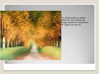 Iar randunelele au plecatPeste cel mai frumos sat. Draga toamna-ti multumim!Te rugam sa mai vii!