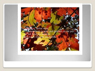 Uite vine iarna receCu zapada si cu ploipuf galben ca de pui.Si tot felul de legumeDe nu le mai stii pe nume. 