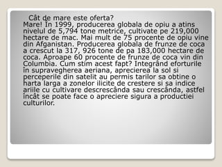 Cât de mare este oferta?
Mare! În 1999, producerea globala de opiu a atins
nivelul de 5,794 tone metrice, cultivate pe 219,000
hectare de mac. Mai mult de 75 procente de opiu vine
din Afganistan. Producerea globala de frunze de coca
a crescut la 317, 926 tone de pa 183,000 hectare de
coca. Aproape 60 procente de frunze de coca vin din
Columbia. Cum stim acest fapt? Integrând eforturile
în supravegherea aeriana, aprecierea la sol si
perceperile din satelit au permis tarilor sa obtine o
harta larga a zonelor ilicite de crestere si sa indice
ariile cu cultivare descrescânda sau crescânda, astfel
încât se poate face o apreciere sigura a productiei
culturilor.
 