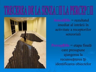 Senzațiile  = rezultatul imediat al intrării în activitate a receptorilor senzoriali Percepțiile  = etapa finală care presupune ajungerea la recunoașterea și identificarea obiectelor TRECEREA DE LA SENZAȚII LA PERCEPȚII 