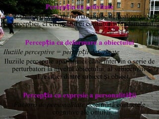 Percepția ca activitate Acțiunea  devine nu numai mijloc de realizare a percepției, ci elementul ei constitutiv fundamental. Percepția ca deformare a obiectului Iluziile perceptive = percepții deformate Iluziile percepute apar atunci când intervin o serie de perturbatori la nivelul obiectului, al subiectului și al relației dintre subiect și obiect. Percepția ca expresie a personalității Factorii de personalitate  determină contactele cognitive ale omului. 