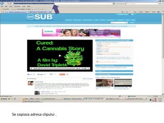 Se copiaza adresa clipului . 