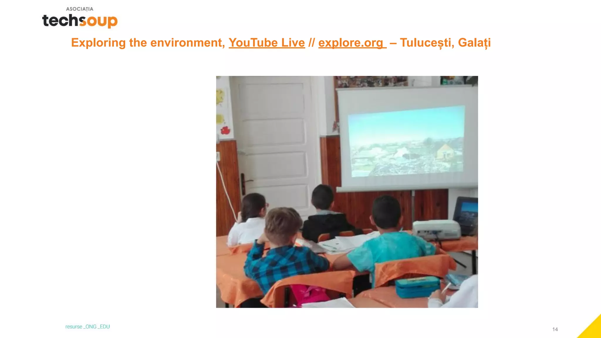 14
Exploring the environment, YouTube Live // explore.org – Tulucești, Galați
 