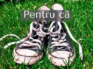 Pentru cã
 