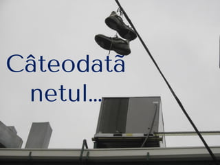 Câteodatã
netul…
 