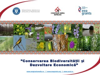 ”Conservarea Biodiversită ii iț ș
Dezvoltare Economică”
www.eeagrantsmediu.ro | www.eeagrants.org | www.acmi.ro
 