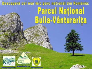 Descoperă cel mai mic parc naţional din România: Parcul Naţional Buila-Vânturariţa www.buila.ro www.kogayon.ro www.rosilva.ro 