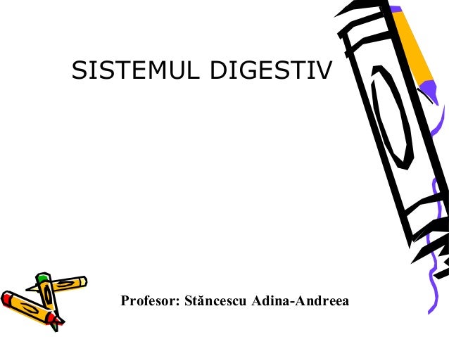 Sistemul Digestiv Prezentare Ppt