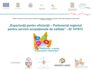 „Experienţă pentru eficienţă – Parteneriat regional pentru servicii ocupaţionale de calitate” - ID 141973  