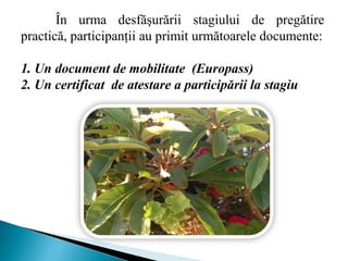În urma desfăşurării stagiului de pregătire
practică, participanţii au primit următoarele documente:
1. Un document de mobilitate (Europass)
2. Un certificat de atestare a participării la stagiu
 
