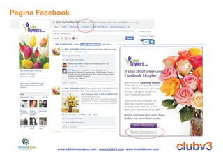 Pagina Facebook




           www.adrianniculescu.com www.clubv3.com www.mushbloom.com
 