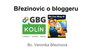 Březinovic o bloggeru 
Bc. Veronika Březinová 
 