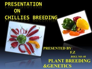 PRESENTATION
ON
CHILLIES BREEDING

PRESENTED BY:
F.Z
ROLL NO: 08

PLANT BREEDING
&GENETICS

 